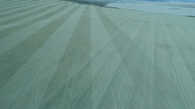 Opening aerial field spawning user bubble producing leaf heart and growth metrics drifting outward. Analytics, data visualization, innovation, digital, landscape, technology, interface - Powered by Shutterstock - Get 15% off with code: PIKWIZARD15