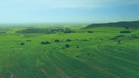 Starting aerial sweep over farm, blue notification icons drifting and growing showing engagement. Farming, aerial, digital, socialmedia, analytics, rural, landscape - Powered by Shutterstock - Get 15% off with code: PIKWIZARD15