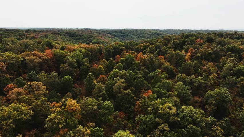 A breathtaking aerial view of rolling hills covered in dense forest as early autumn colors begin to emerge. Green, orange, and brown treetops stretch across the horizon under soft daylight, showcasing