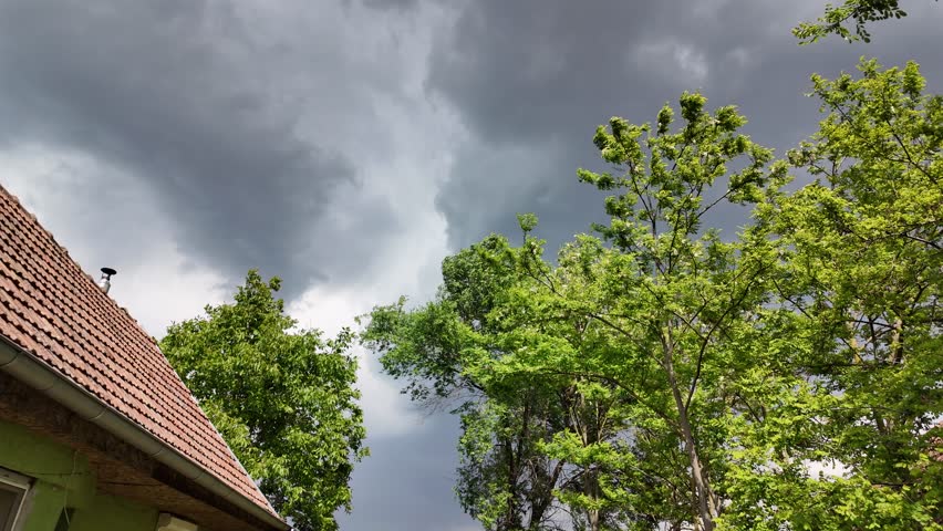 Trees swaying in the wind against a grey sky before a storm and rain in a village, rain clouds over the village.