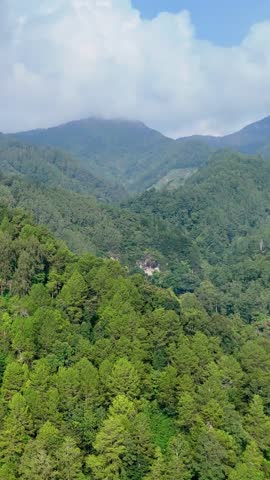 mountain landscape with trees and clouds. forest in the mountains. green forest in the mountains. vertical video