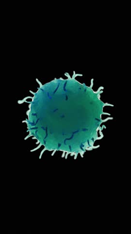 Stem Cell Division and Differentiation - 3D Render