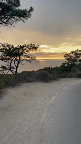 Coastal Bluff Trail Overlooking Pacific Ocean at Sunset with Windswept Pine Trees, Sandy Path, Paved Road, and Golden Sky — Scenic California Coastline Landscape with Sea Horizon and Fading Light