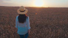 Take a Serene and Peaceful Sunset Walk in the Golden Wheat Field under the tranquil sky - Powered by Shutterstock - Get 15% off with code: PIKWIZARD15