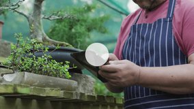 Senior man tapping tablet and causing network nodes overlaying bonsai for digital plant monitoring. Technology, gardening, connectivity, innovation, horticulture, digital, sustainability - Powered by Shutterstock - Get 15% off with code: PIKWIZARD15