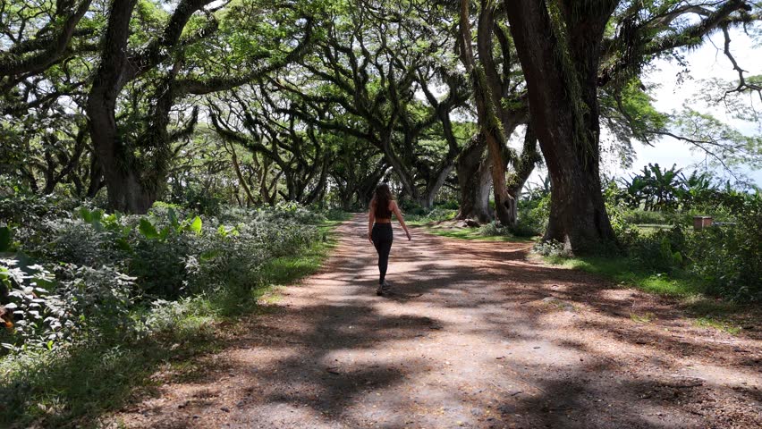 Young lady is walking along a magic forest path in East Java, Indonesia