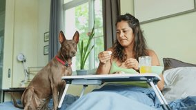 Mid adult woman with tattoos enjoying morning meal in bed, bonding with pet dog while sharing breakfast and showing mutual affection and comfort - Powered by Shutterstock - Get 15% off with code: PIKWIZARD15