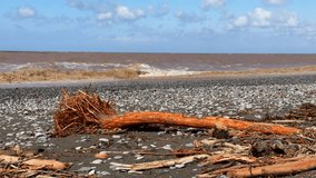 The aftermath of a heavy rain, flood and storm on a pebble beach. Driftwood, tree remains, debris, and very muddy brown waves. Concept of deterioration of hygiene conditions due to natural disasters - Powered by Shutterstock - Get 15% off with code: PIKWIZARD15