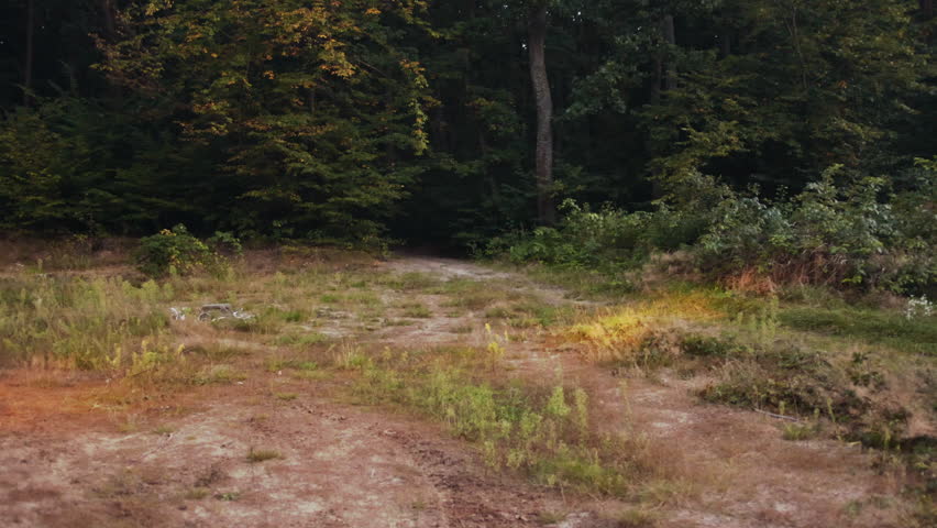 group riding, forest path, autumn forest. Group ATV riders drives along wooded trail at dusk, their headlights cutting through dim light and autumn trees.