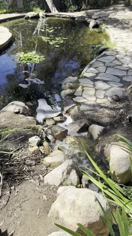 Tranquil Stone Path Beside a Reflective Pond with Lily Pads Gentle Foam and Fallen Leaves Surrounded by Rocks Greenery and Sunlight in a Peaceful Southern California Garden Landscape