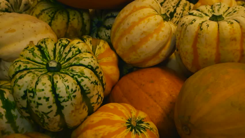 Close up video gliding over decorative colorful and small pumpkins in a supermarket or market in a pile on top of each other, the colorful orange and green fruit are oddly shaped and sized.