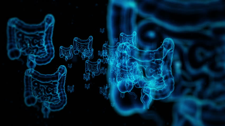 Futuristic Blue Neon Medical 3D Human Digestive System Anatomy Visualization - Powered by Shutterstock - Get 15% off with code: PIKWIZARD15