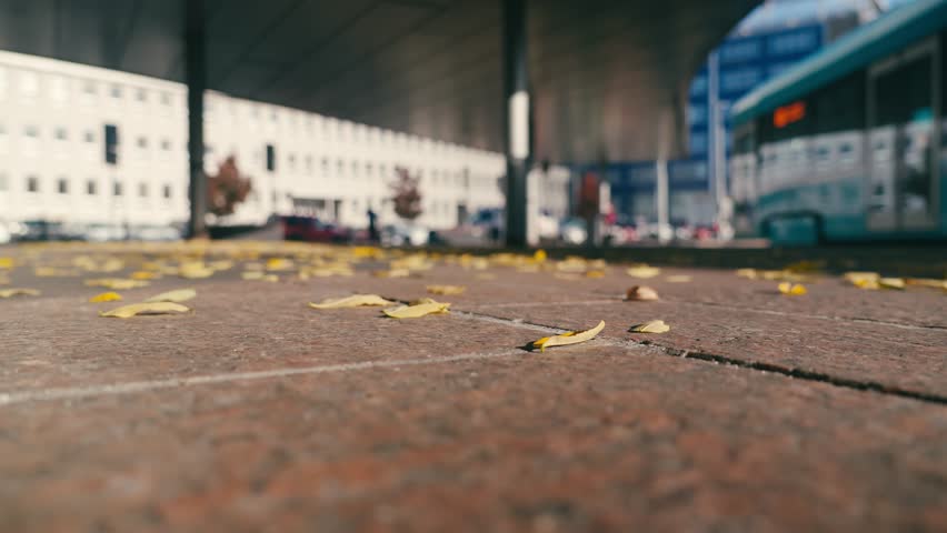 Fallen autumn leaves blow across city deserted car park LOW ANGLE