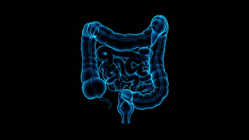 Futuristic Blue Neon Medical 3D Human Digestive System Anatomy Visualization - Powered by Shutterstock - Get 15% off with code: PIKWIZARD15