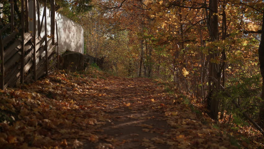 Wide shot of an empty pathway with orange leaves lying on the ground on an October day