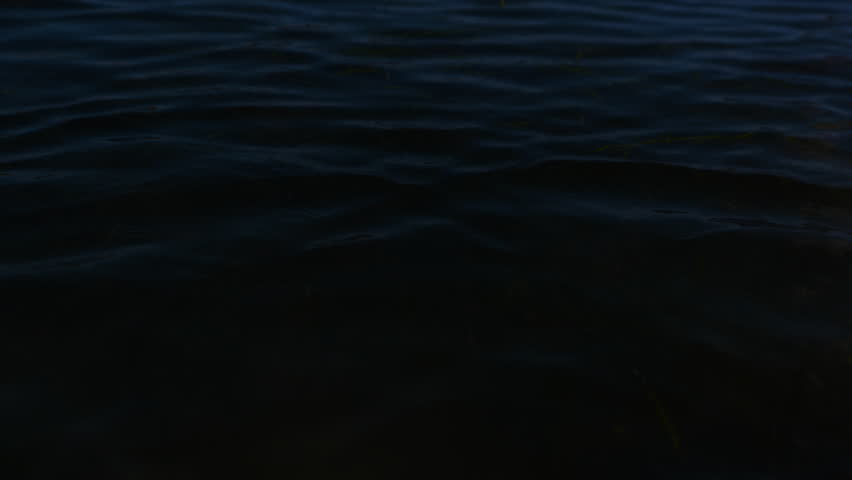Cinematic slow-motion POV from a kayak on dark bay water with gentle ripples and long green plants swaying beneath the surface, creating a hypnotic, mesmerizing nighttime scene.