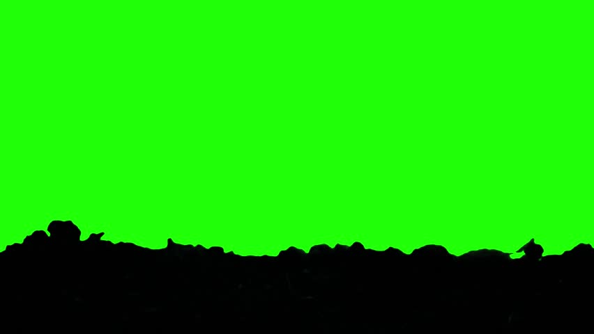 Scary zombie hand emerging from grave in dark soil with green screen background. Perfect for Halloween, horror films, spooky intros, or creepy motion design projects.