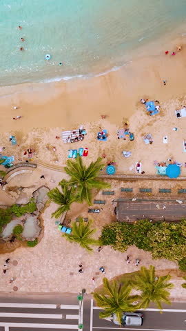 Aerial view of a tropical beach in Oahu, Hawaii. People relax under umbrellas, palm trees line the shore, and a road with vehicles runs parallel to the beach. Vertical video.