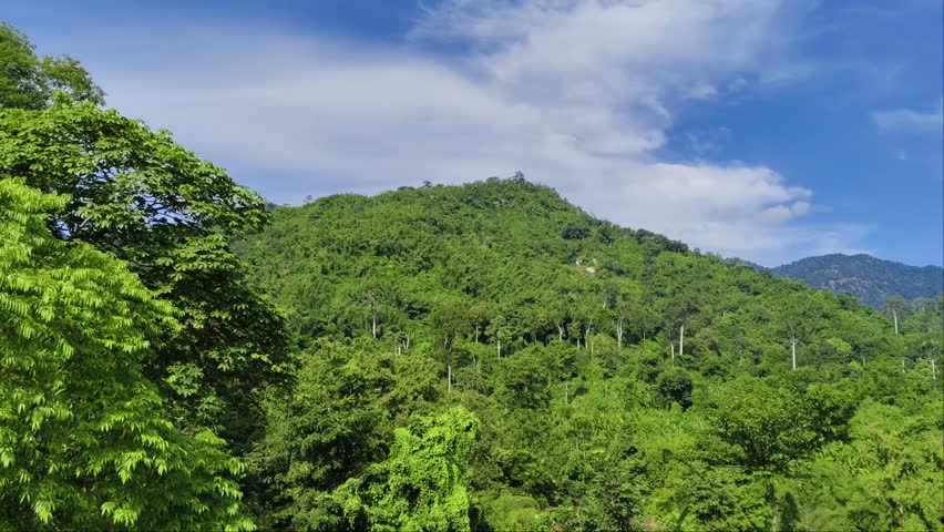 Take a deep breath of fresh air