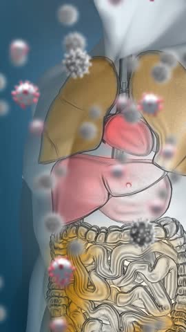 Animation of falling viruses cells over human body model. global science research and technology concept digitally generated video.