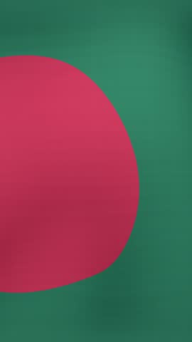 Animation of fireworks over flag of bangladesh. flags, national symbols and patriotism concept digitally generated video.