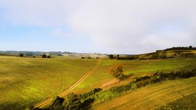 Quick Close Zoom on Orange Tree at Field Edge – Vibrant Autumn Colors in Rural France - Powered by Shutterstock - Get 15% off with code: PIKWIZARD15