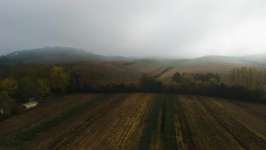 Misty Dawn Over Rolling Farmland Under Heavy Fog — Moody Autumn Landscape Reveal
