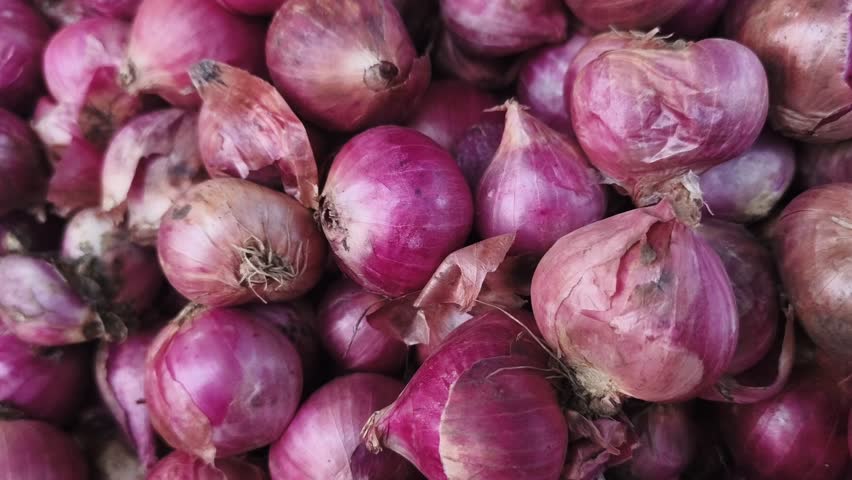 Fresh red onions harvested and piled together for market sale. Close-up of fresh red onions with natural skin texture, commonly used in Asian cuisine and traditional Indonesian cooking recipes.