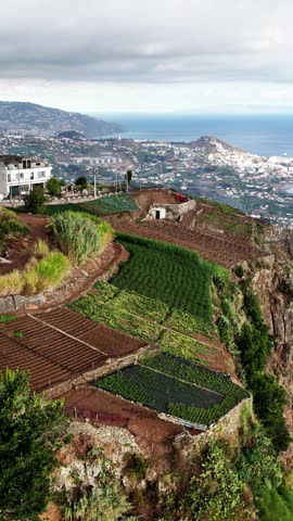 Aerial view of agricultural terraces and coastal city in Madeira Portugal showcases the island