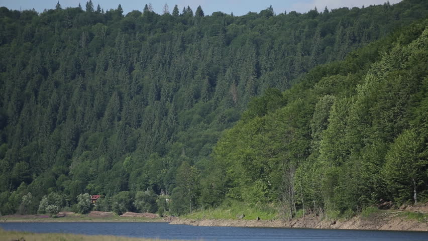 Peaceful Rural Landscape with Wooden Houses, Forest and Medieval Town. countryside view featuring traditional wooden houses green forest, ancient medieval town in the background. Lake, boat, swans
