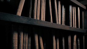 Old Books In Library Historical Scene
 - Powered by Shutterstock - Get 15% off with code: PIKWIZARD15