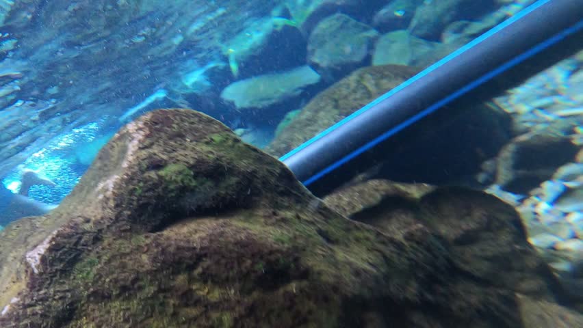 Underwater view of a natural spring with crystal clear, emerald-green water. Small tropical fish swim peacefully among the rocks, with sun rays penetrating the glass-like surface. Pure freshwater 