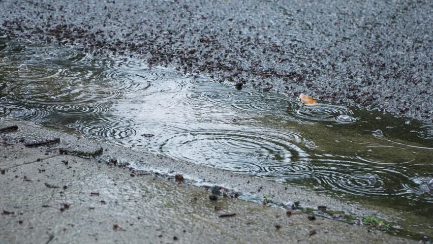 Raindrops rippling in a puddle on the edge of a suburban street