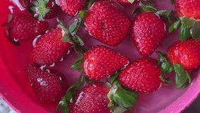 Washing fresh, ripe red strawberries with clean water. Close-up shot showing the freshness and detail of the fruit. - Powered by Shutterstock - Get 15% off with code: PIKWIZARD15