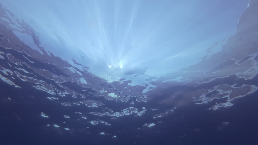Man waves his hand to greet dolphin, attracting its attention. Curious and playful bottlenose approaches and gently touches his palm with its snout, in bright sunbeams background, backlit by sunshine