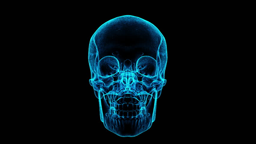 Digital X-Ray Glow: Illuminating the Intricate Structures of a Human Skull in Neon Blue Hue