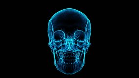 Digital X-Ray Glow: Illuminating the Intricate Structures of a Human Skull in Neon Blue Hue - Powered by Shutterstock - Get 15% off with code: PIKWIZARD15