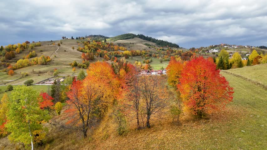 Drone slowly panning over colorful autumn trees and Bucovina hills near Gura Humorului, Romania