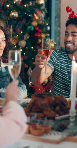 Man, toast and friends with celebration at Christmas dinner for alcohol, tree and social gathering in home. People, excited and group with drinks, party or merry xmas wish on festive holiday in house