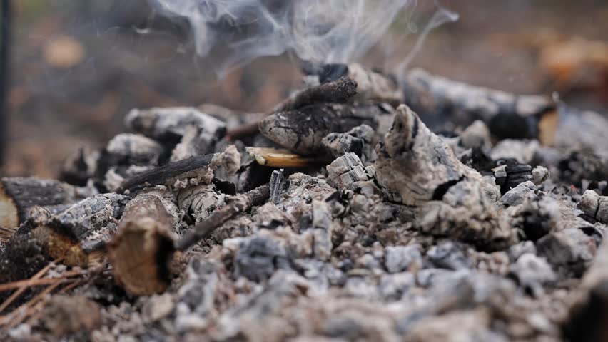 Close-up of smoldering campfire ashes in the forest. Thin smoke slowly rises from burned wood, creating a calm rustic outdoor mood. Autumn leaves and soil visible in soft natural light.