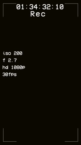 Vertical 9:16 retro vcr recording screen with heavy vhs noise, scan lines, and camera settings. For creating authentic 80s or 90s found footage look
