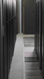 Data analytics and global statistics animation over server room background. Technology, digital, network, cloud, database, visualization - Powered by Shutterstock - Get 15% off with code: PIKWIZARD15