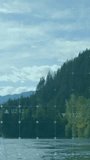 Financial data and health monitoring animation over scenic lake and forest landscape. Finance, nature, technology, analytics, graphs, environment - Powered by Shutterstock - Get 15% off with code: PIKWIZARD15