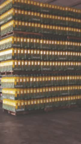 Talking on phone, woman in warehouse with data processing animation over scene. Logistics, technology, communication, inventory, supply chain, businesswoman