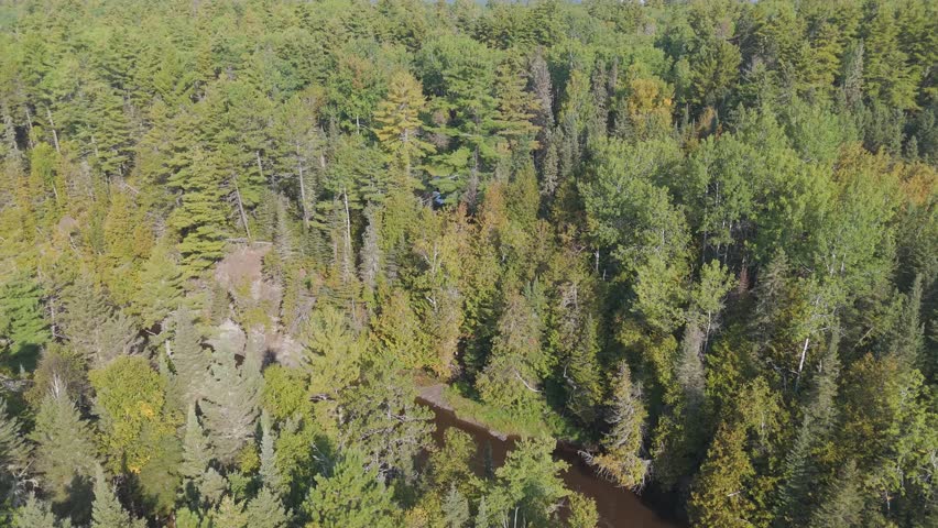 An aerial view captures a winding river weaving through dense forest along the border between Minnesota and Ontario