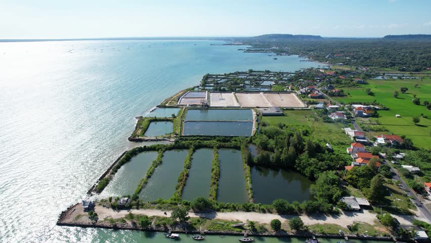 Aerial view of coastal fish ponds and green fields near the shoreline, with calm blue sea and village houses under a bright clear sky.