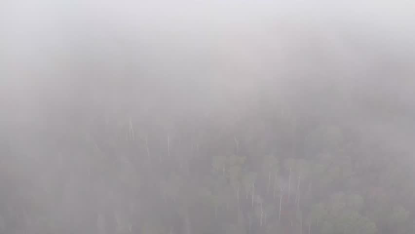 Dense fog covers forest in Ontario, aerial view