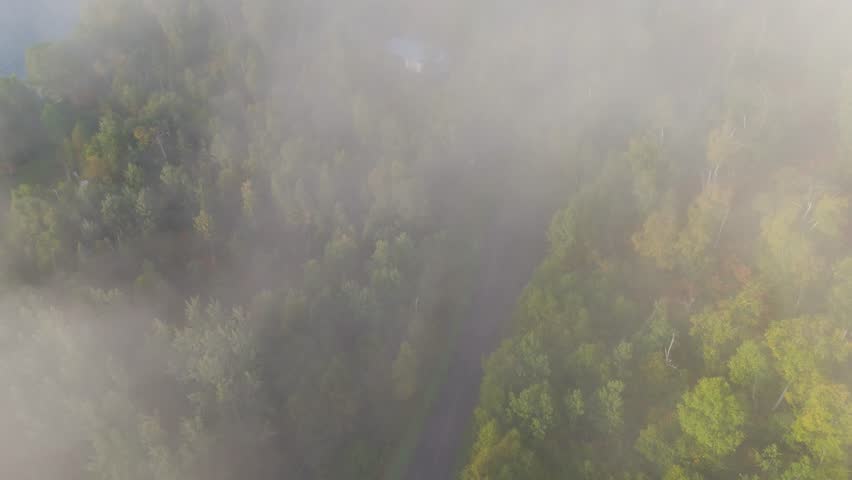 Morning fog over forest during autumn in Ontario