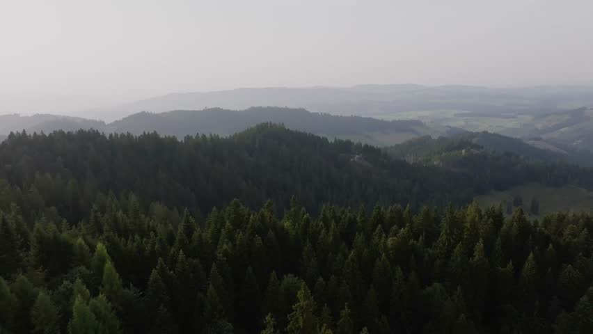 Aerial view of a dense green forest covering rolling hills under a misty sky. Peaceful nature scene symbolizing wilderness, tranquility, and environmental beauty.