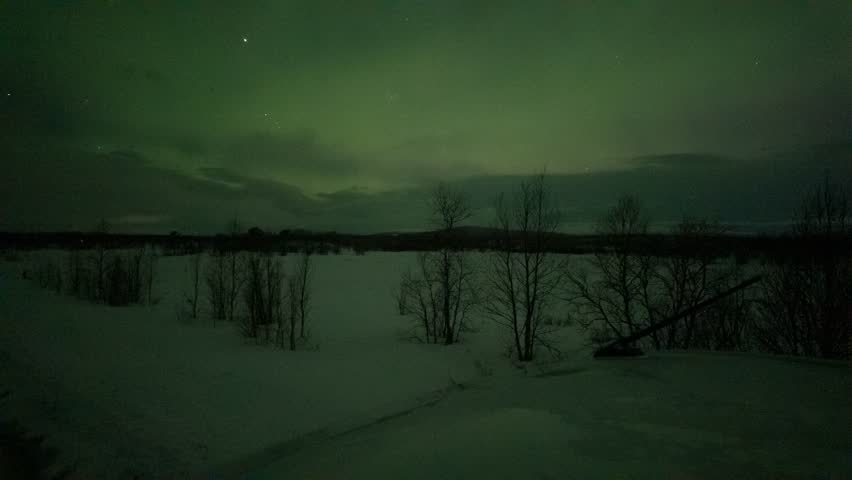 Aurora borealis timelapse over snowy forest in Sweden